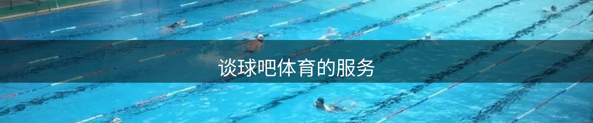 谈球吧体育的服务